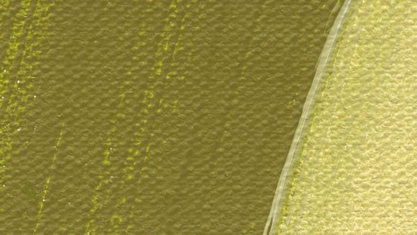 Schmincke Akademie Acrylic Paint Olive Green