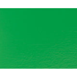 SCHMINCKE  AKADEMIE ACRYLIC PAINT COBALT GREEN HUE 250ML