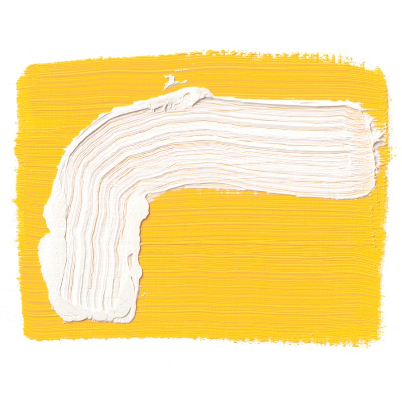 SCHMINCKE AKADEMIE OIL PAINT ZINC WHITE
