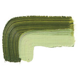 SCHMINCKE AKADEMIE OIL PAINT GREEN EARTH 200ML