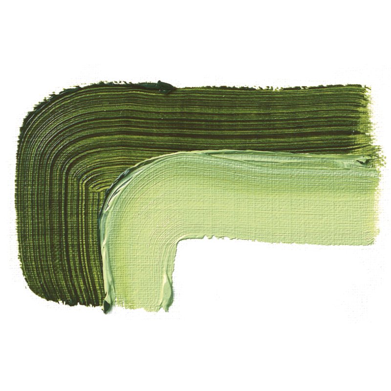 SCHMINCKE AKADEMIE OIL PAINT SAP GREEN