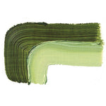 SCHMINCKE AKADEMIE OIL PAINT SAP GREEN