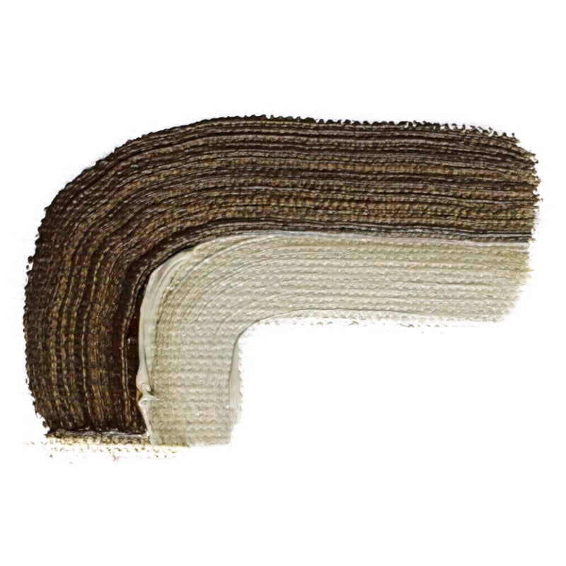 SCHMINCKE AKADEMIE OIL PAINT RAW UMBER