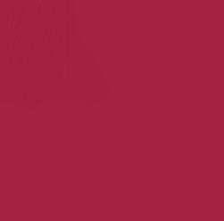 Staedtler Triplus Fineliner Pen Carmine Red 0.3mm