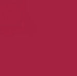 Staedtler Triplus Fineliner Pen Carmine Red 0.3mm