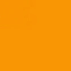 Staedtler Triplus Fineliner Pen Orange 0.3mm