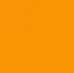 Staedtler Triplus Fineliner Pen Orange 0.3mm