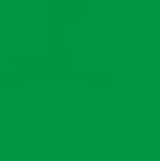 Staedtler Triplus Fineliner Pen Green 0.3mm