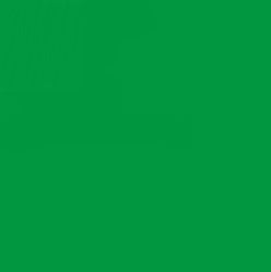 Staedtler Triplus Fineliner Pen Green 0.3mm