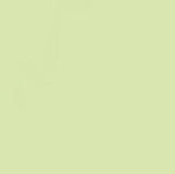 Staedtler Triplus Fineliner Pen Lime Green 0.3mm