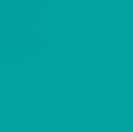 Staedtler Triplus Fineliner Pen Turquoise 0.3mm