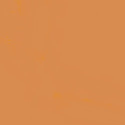 Staedtler Triplus Fineliner Pen Light Brown 0.3mm