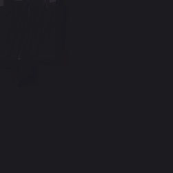 Staedtler Triplus Fineliner Pen Black 0.3mm