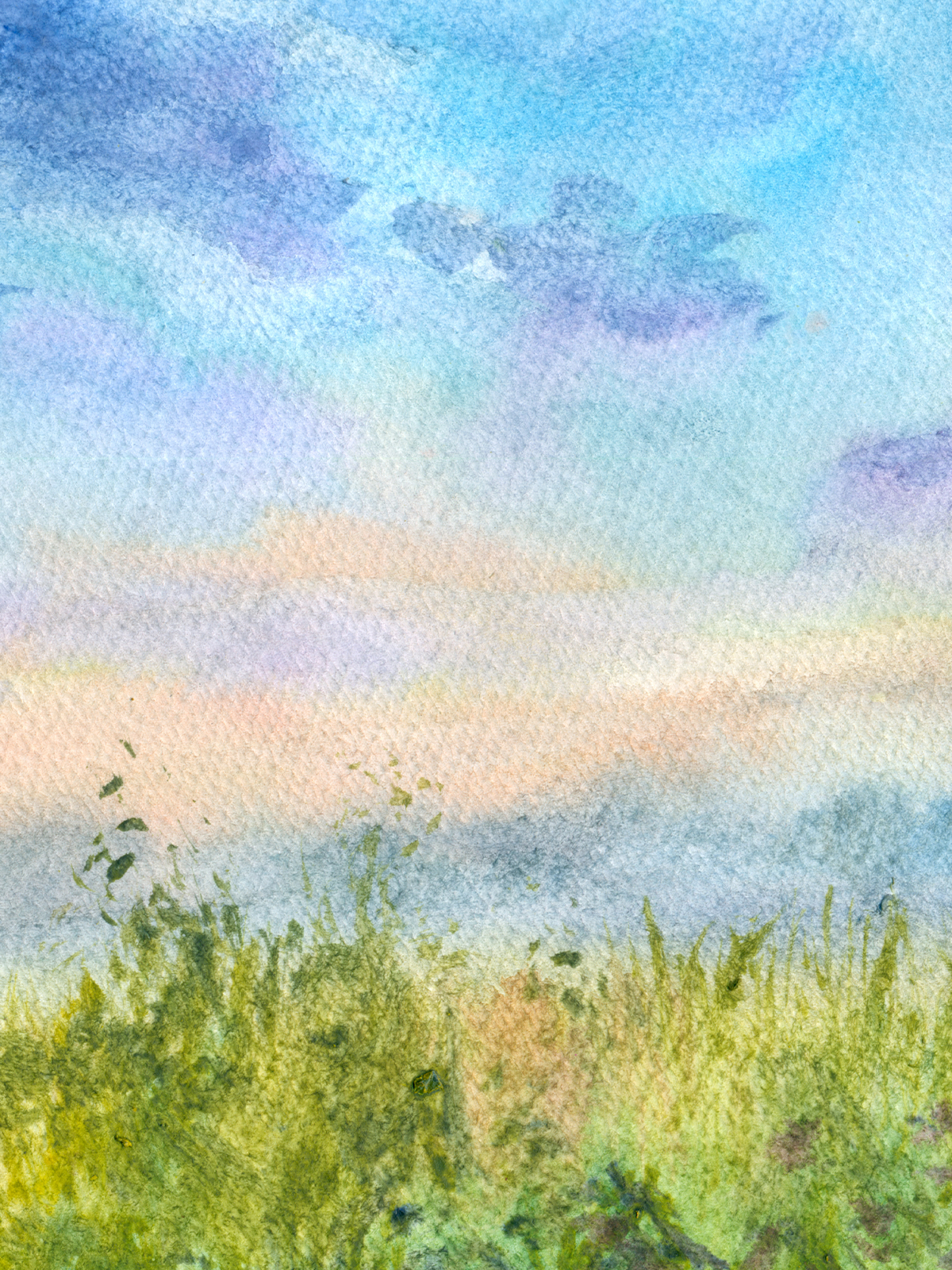 SUMMER OF WATERCOLOUR
