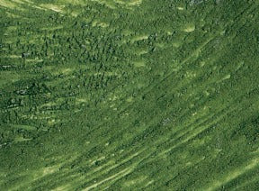 Williamsburg Oil Paint Italian Terra Verte