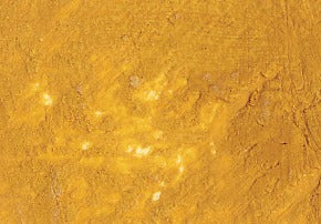 Williamsburg Oil Paint Italian Lemon Ochre