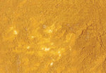 Williamsburg Oil Paint Italian Lemon Ochre
