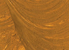 Williamsburg Oil Paint Italian Raw Sienna 37ml