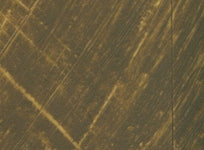 Williamsburg Oil Paint French Light Sienna 37ml