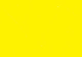 Williamsburg Oil Paint Cadmium Lemon 37ml