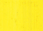 Williamsburg Oil Paint Cadmium Yellow Light 37ml