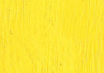 Williamsburg Oil Paint Permanent Yellow Light 37ml