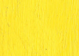 Williamsburg Oil Paint Permanent Yellow Light 37ml