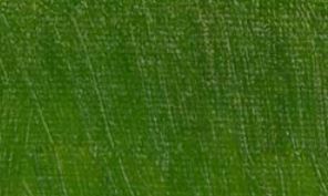 Williamsburg Oil Paint Olive Green 37ml