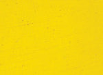 Williamsburg Oil Paint Cadmium Yellow Medium 150ml