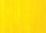 Williamsburg Oil Paint Permanent Yellow Medium