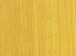Williamsburg Oil Paint Naples Yellow