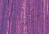 Williamsburg Oil Paint Manganese Violet 37ml