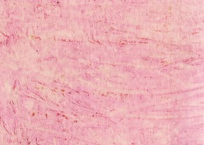 Williamsburg Oil Paint Dianthus Pink 37ml