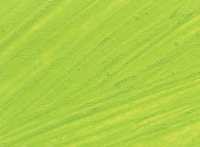 Williamsburg Oil Paint Cadmium Green Light 37ml