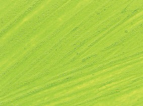 Williamsburg Oil Paint Cadmium Green Light 37ml