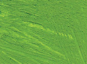 Williamsburg Oil Paint Cadmium Green 37ml