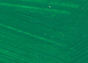 Williamsburg Oil Paint Permanent Green