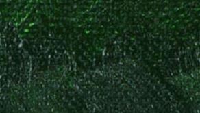 Williamsburg Oil Paint Sap Green