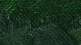 Williamsburg Oil Paint Sap Green 37ml