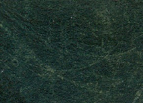 Williamsburg Oil Paint Courbet Green 37ml