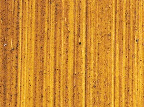 Williamsburg Oil Paint Stil de Grain