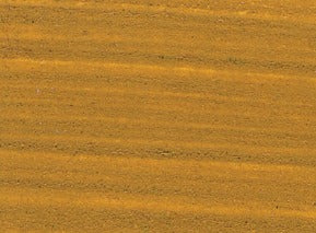 Williamsburg Oil Paint Raw Sienna 37ml