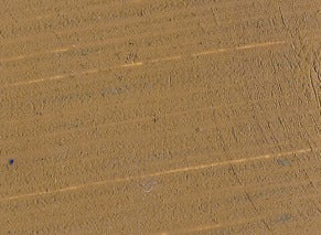 Williamsburg Oil Paint Brown Ochre 37ml