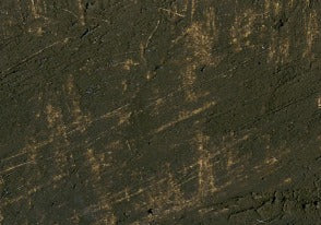 Williamsburg Oil Paint Raw Umber