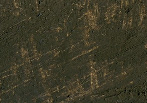 Williamsburg Oil Paint Raw Umber 37ml