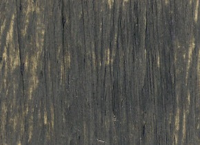 Williamsburg Oil Paint Davy's Gray Deep