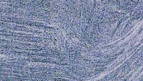 Williamsburg Oil Paint Interference Red