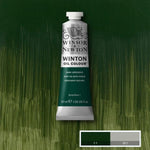 Winsor & Newton Winton Oil Paint Dark Verdigris 37ml