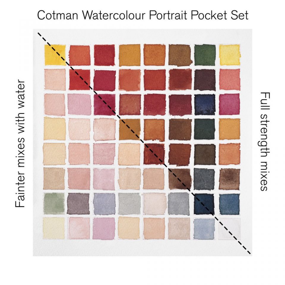 Winsor & Newton Cotman Watercolour Paint Portrait Pocket 1/2 Pan Set 9 SET