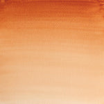 Winsor & Newton Professional Watercolour Paint S1 Burnt Sienna